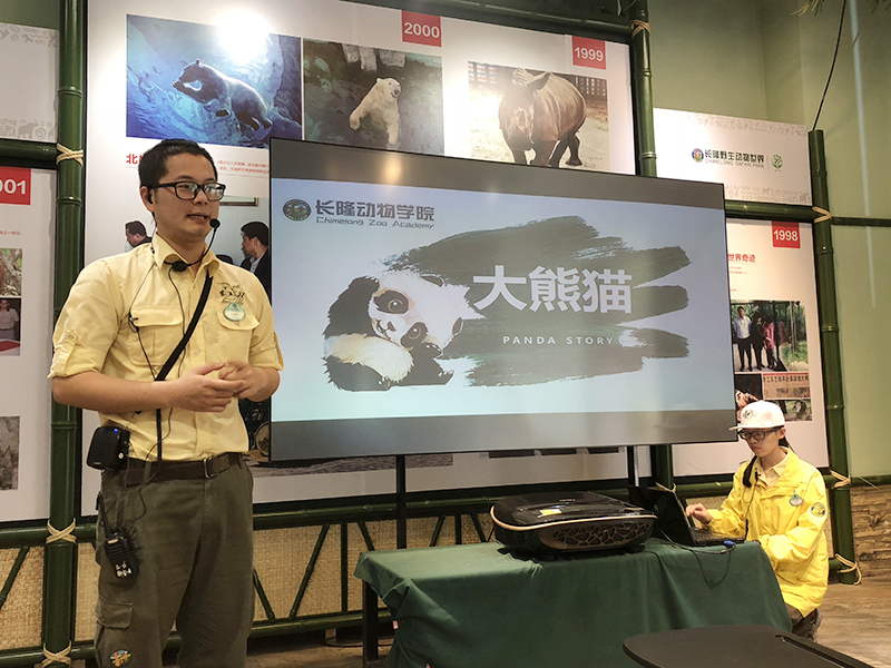 長隆動物學院裡的保育員向大家進行大熊貓課堂