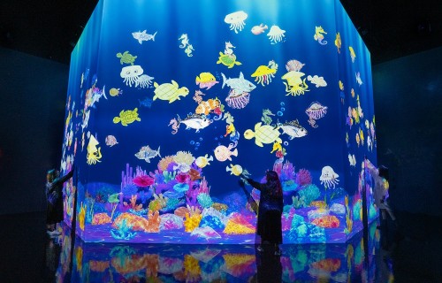 彩繪海洋 teamLab, 2020-, Interactive Digital Installation, Sound: Hideaki Takahashi, teamLab. © teamLab 