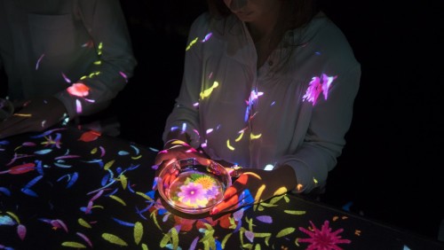 Flowers Bloom in an Infinite Universe inside a Teacup