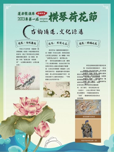 荷花板