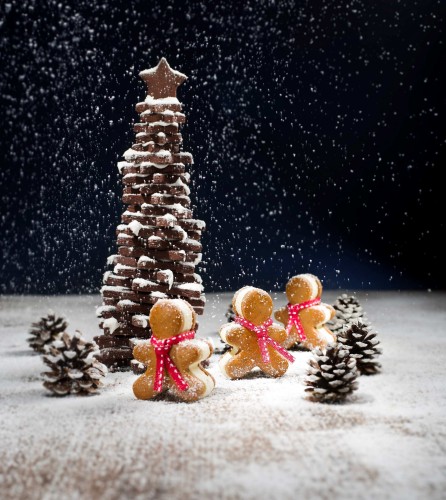 JW_Xmas Gingerbread Man & Xmas Tree